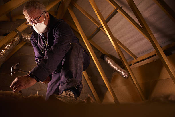 Best Local Insulation Services  in Carlstadt, NJ