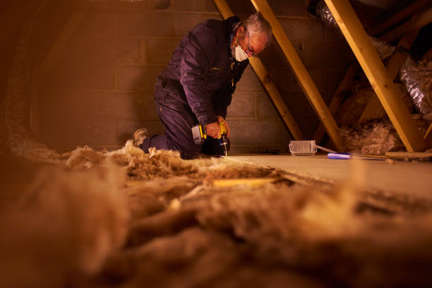 Best Blown-in Insulation  in Carlstadt, NJ
